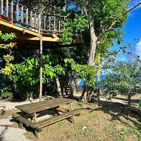 Jamaica Colors Hotel And Eco-Retreat-2